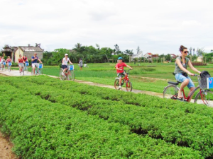 Hoi An Cycling Tour Vietnam Biking Tours: Highlights of Vietnam Cycling Tour
