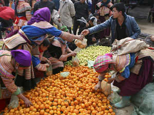 Bac Ha: The Market on Sunday Vietnam Biking Tours: Vietnam North East Cycling Tour