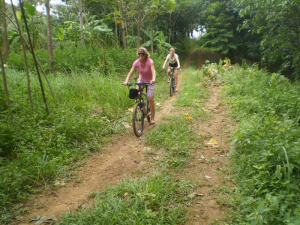 Laos Biking Tours: Luang Prabang Biking And Elephant Riding Tour