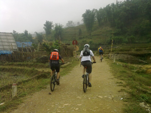 Sapa Adventure Tours: Half-day Sapa Biking Tour To Muong Hoa Valley