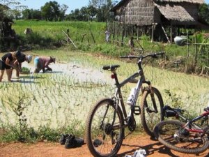 Cambodia Biking Tours: Mekong Cycling Tour For Landscapes