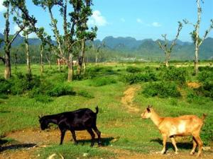 Cuc Phuong National Park Vietnam Adventure Tours: Easy Vietnam Northern Trekking Tour For 10 Days