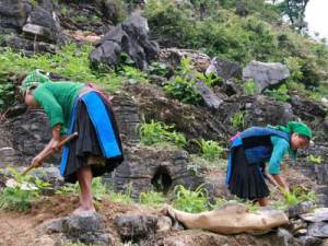 Ha Giang: Dong Van Karst Plateau Vietnam Adventure Tours: Hanoi Adventure Tour Via Moc Chau To Ha Giang