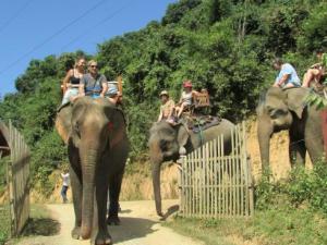 Laos Family Tours: Luang Prabang Family Holiday Of Elephant Riding