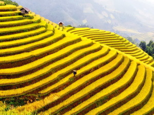 Ha Giang: View from Hoang Su Phi Vietnam Adventure Tours: Northern Vietnam Hiking Tour for 15 Days