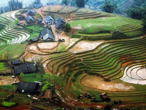 Sapa Adventure Tours: Full Day Sapa Tour To Minorities, Rice Fields And Waterfall