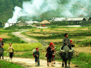 Sapa Homestay Tours: Sapa Tour To Y Linh Ho, Giang Ta Chai Villages