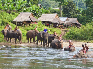 Laos Family Tours: Laos Family Vacation With Elephant Riding