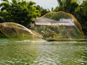 Vietnam Southern Motorbike Tours: Highlights Of Mekong Delta Motorbike Tour