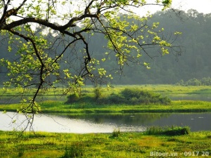 Vietnam Adventure Tours: Vietnam Tour with National Parks