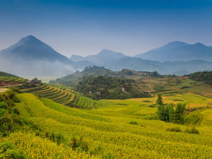 Sapa Biking Tours: Highlights Of Sapa Biking Trip