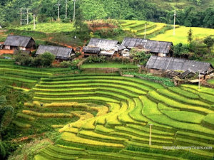 Sapa Homestay Tours: Sapa Homestay Trekking Tour To Ta Van And Giang Ta Chai