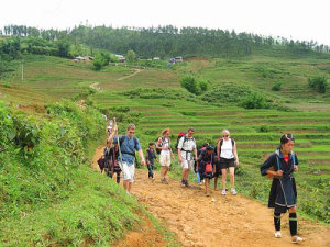 Sapa: Trekking to Giang Ta Chai Village Vietnam Adventure Tours: Amazing Trekking Trip from Lai Chau to Sapa