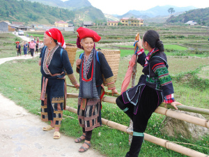 Sapa Adventure Tours: Half-day Sapa Trekking Tour To Ta Phin Village Of Red Dao