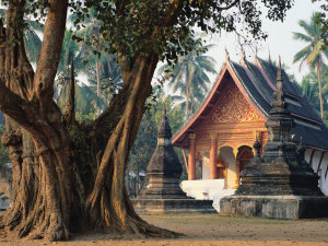 Laos Family Tours: Best Luang Prabang Family Tour