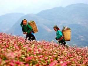 Ha Giang: Women on Plateau Vietnam Adventure Tours: Northern Vietnam Adventure And Trekking Tour