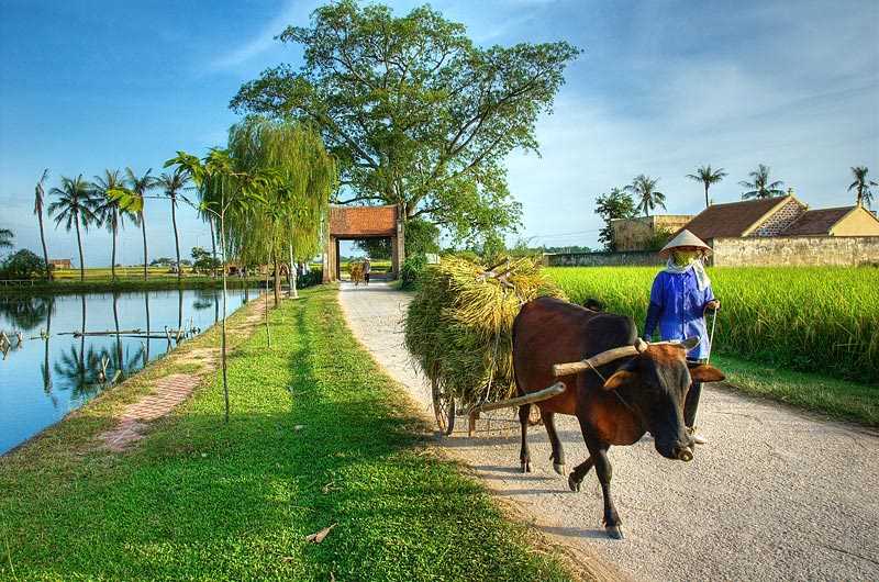 Best-places-for-viet-kieu-to-reconnect-with-family-in-vietnam