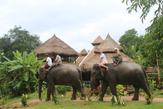 Elephant village in luang prabang