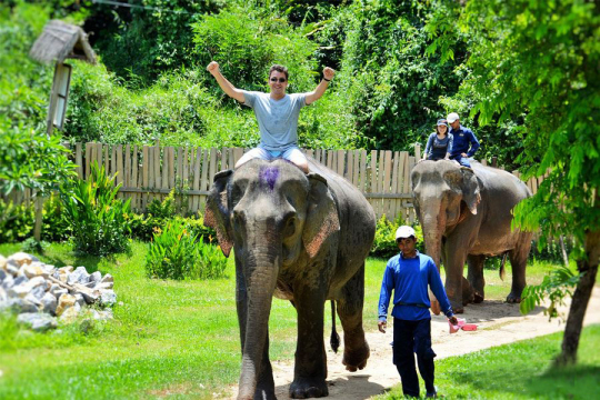 Luang prabang package tour at the elephant lodge Luang prabang package tour with elephant lodge - laos elephant riding tours