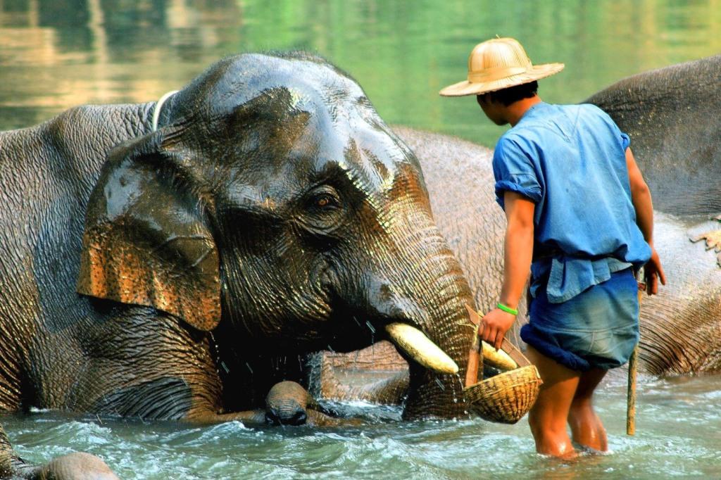 Unveiled river of kwai_thailand trekking tours Unveiled river of kwai_thailand trekking tours