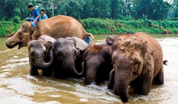 Best northern thailand tour for landscapes Golden triangle resort spa in chiang rai | best northern thailand tour for landscapes