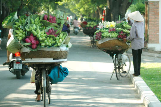 Hanoi capital | vietnam trekking tour from west to east