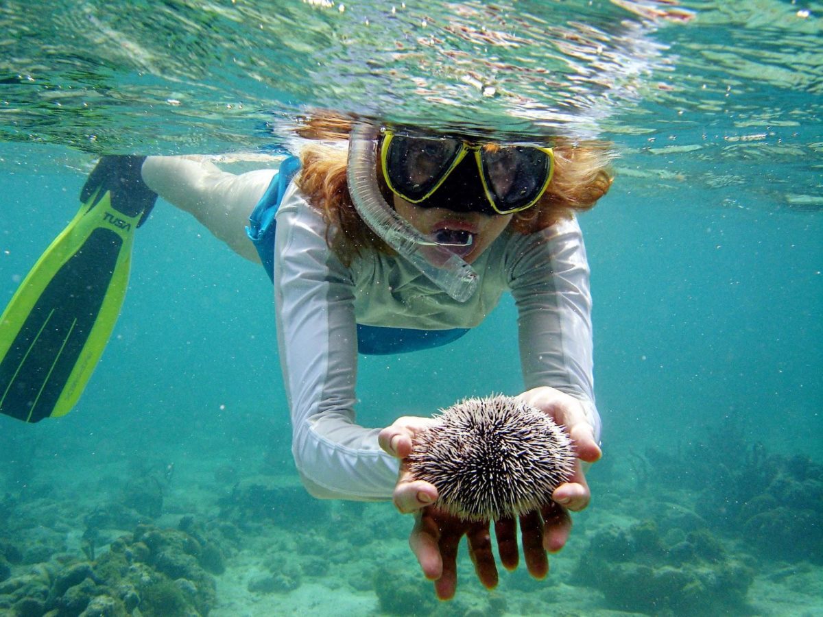 Krabi Snorkeling Tours, Krabi Scuba Diving Trips