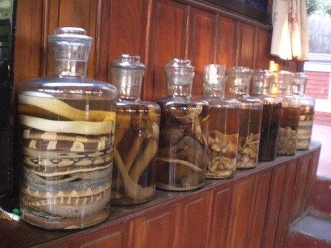 Hanoi jeep tour to le mat snake village Le mat village | hanoi jeep tour to le mat snake village