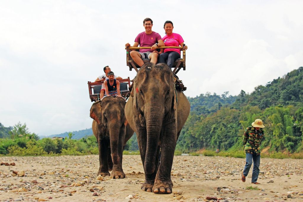 Elephant riding tour along luang prabang - laos daily tours Laos daily tours: luang prabang elephant riding and hiking trip