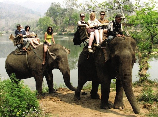 laos elephant tour