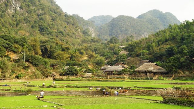Authentic north vietnam tour to mai chau and pu luong nature reserve Mai chaupu luong 9 day adventure1 | authentic north vietnam tour to mai chau and pu luong nature reserve