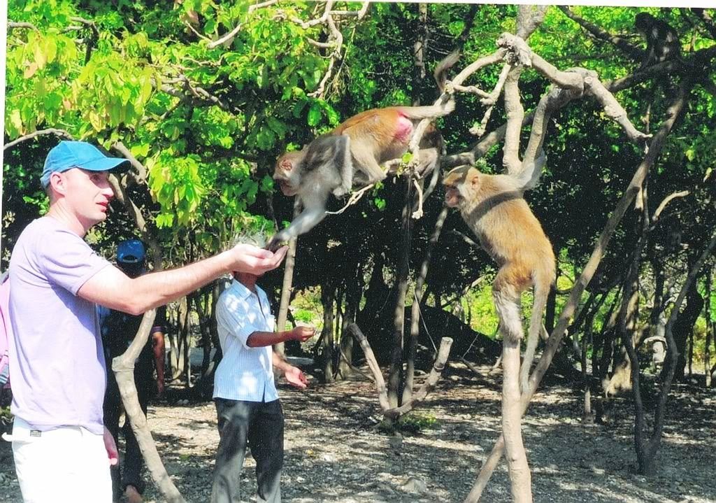 Nha trang monkey island | essence of saigon - nha trang beach vacation