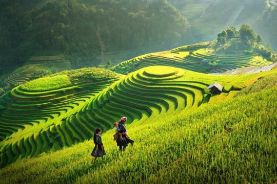 8-day stunning vietnam package tour from hanoi to sapa - halong bay Sapa