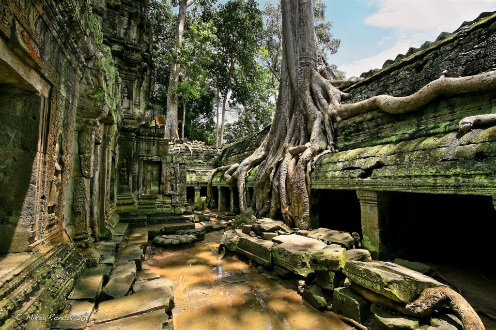 Ta prohm temple Cambodia cruise tours: downstream cambodia cruise expedition to vietnam