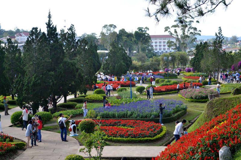 Vuonhoadalat1 | wonders of vietnam tour