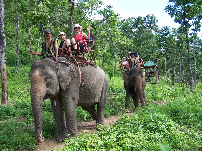 Elephant riding tour in yokdon national park Yok don national park