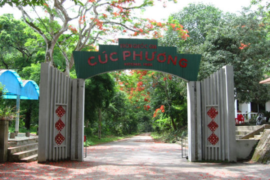 Trekking and rafting tour in cuc phuong national park Cuc phuong | trekking and rafting tour in cuc phuong national park