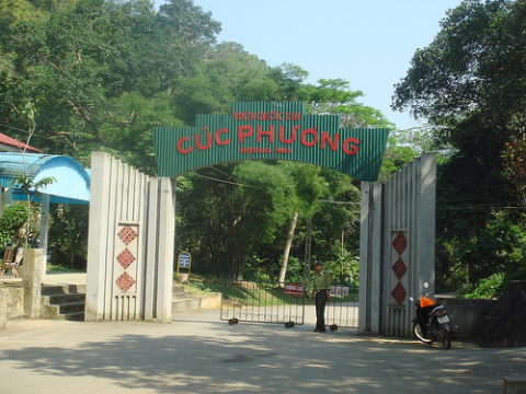 Cucphuong 01 | hanoi tour to cuc phuong national park for 1 day