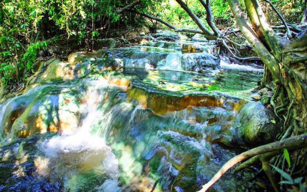 Krabi rainforest discovery tour