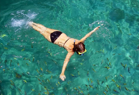 Best krabi snorkeling tour Snorkeling daeng island krabi | best krabi snorkeling tour