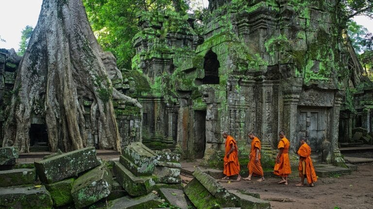 6-day lifetime cambodia honeymoon holiday Ta prohm siem reap cambodia 16x9 | 6-day lifetime cambodia honeymoon holiday