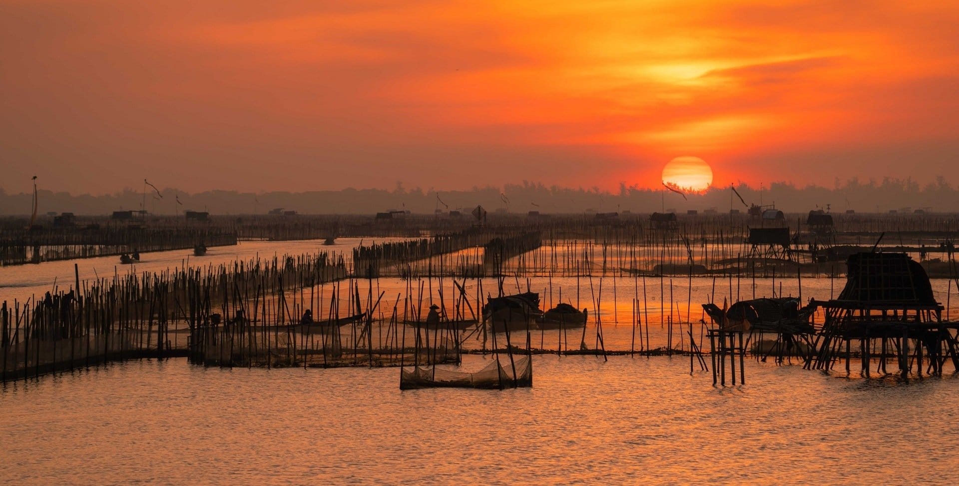 Tam giang lagoon | hue motorcycle tour to tam giang lagoon
