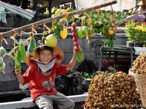 Mekong river tours: rv jayavarman downstream cruise trip from cambodia to vietnam