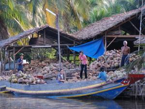 Cruising on mekong river Mekong river tours: mango cruise tour from my tho to mo cay - ben tre