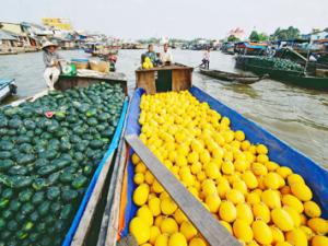 Fruit boat on mekong river Mekong river tours: mekong melody cruise trip from cai be to can tho