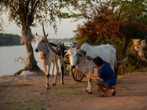 Kampong tralach Mekong river tours: rv lan diep cruise trip from saigon to siem reap - 10 days