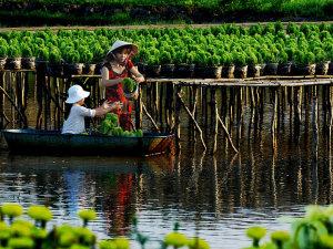 Sa dec flower farm Mekong river tours: mekong song xanh cruise trip from sai gon to chau doc