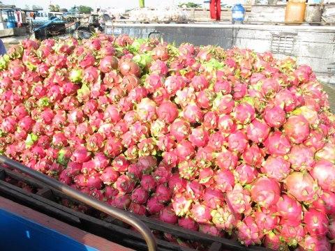 Douce mekong cruise tour from cai be to can tho True experience on mekong delta | douce mekong cruise tour from cai be to can tho