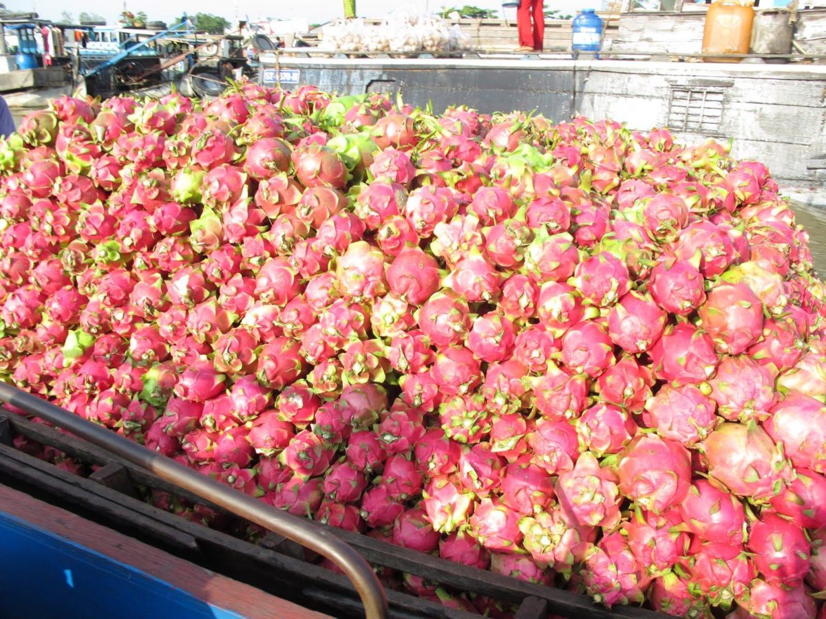 True experience on mekong delta | douce mekong cruise tour from cai be to can tho