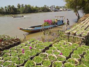 Cruising to sa dec Mekong river tours: rv lan diep cruise trip from saigon to siem reap - 10 days